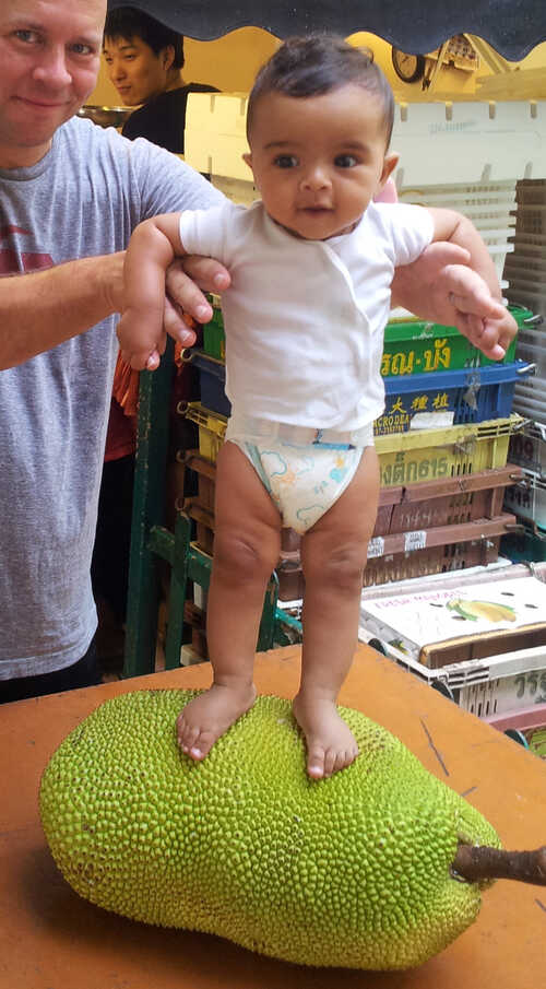菠萝蜜上婴儿的照片