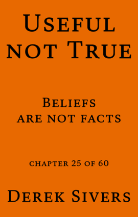 Useful Not True book chapter cover